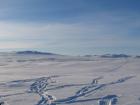 thumbs/hardangervidda_winter_2006 038.jpg.jpg